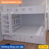 Giường tầng cao cấp 2491