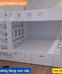 Giường tầng cao cấp 2491