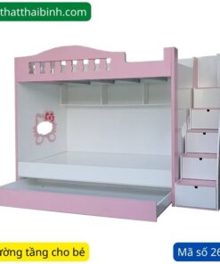Mẫu giường tầng cho bé trai và bé gái