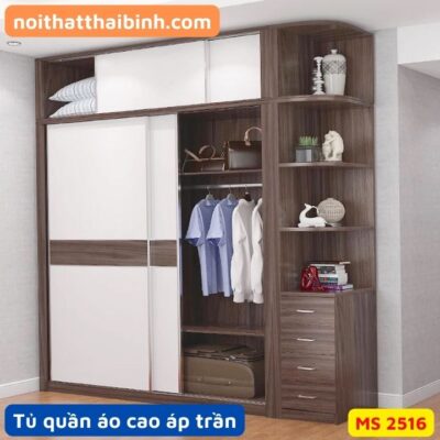 Tủ quần áo 2 cánh lùa cao áp trần MS 2516