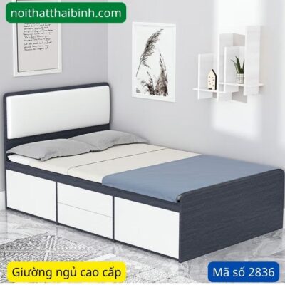 Giường ngủ hiện đại TPHCM MS 2836