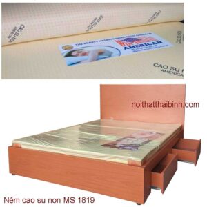 Nệm cao su non MS 1819