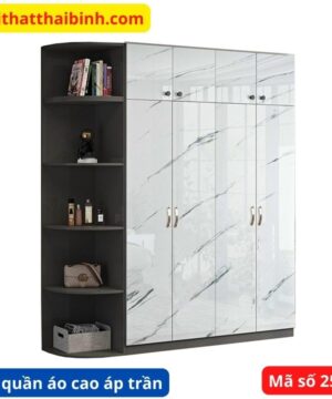 Tủ quần áo cao áp trần MS 2566