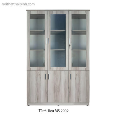 Tủ đựng tài liệu MS 2002