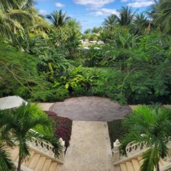 an aerial view of a tropical garden with palm trees